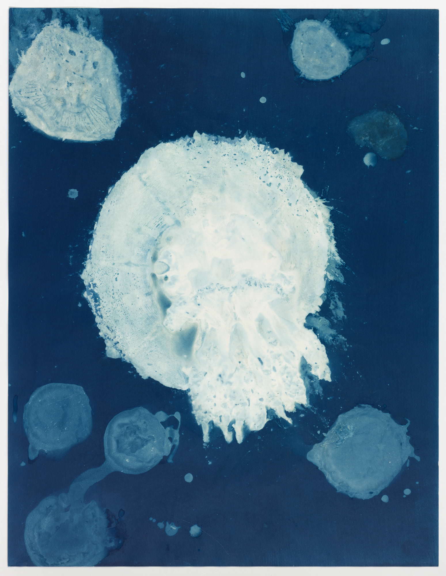 Torsten Derk Römer und Elena Karakitsou, Land in die See 1, 2025, Cyanotype on Hahnemühle Paper, 64,5 x 45 cm