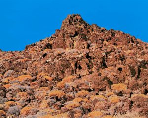 Torsten Derk Römer, Levinthos 1, 2026, Oil on Canvas, 200 x 250 cm