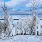 Berliner-Winter-am-Müggelsee